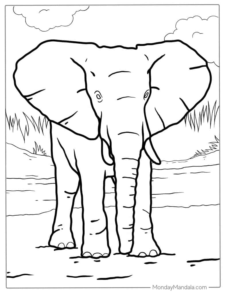 Education For Kids About Elephants 4Th Grade Printables