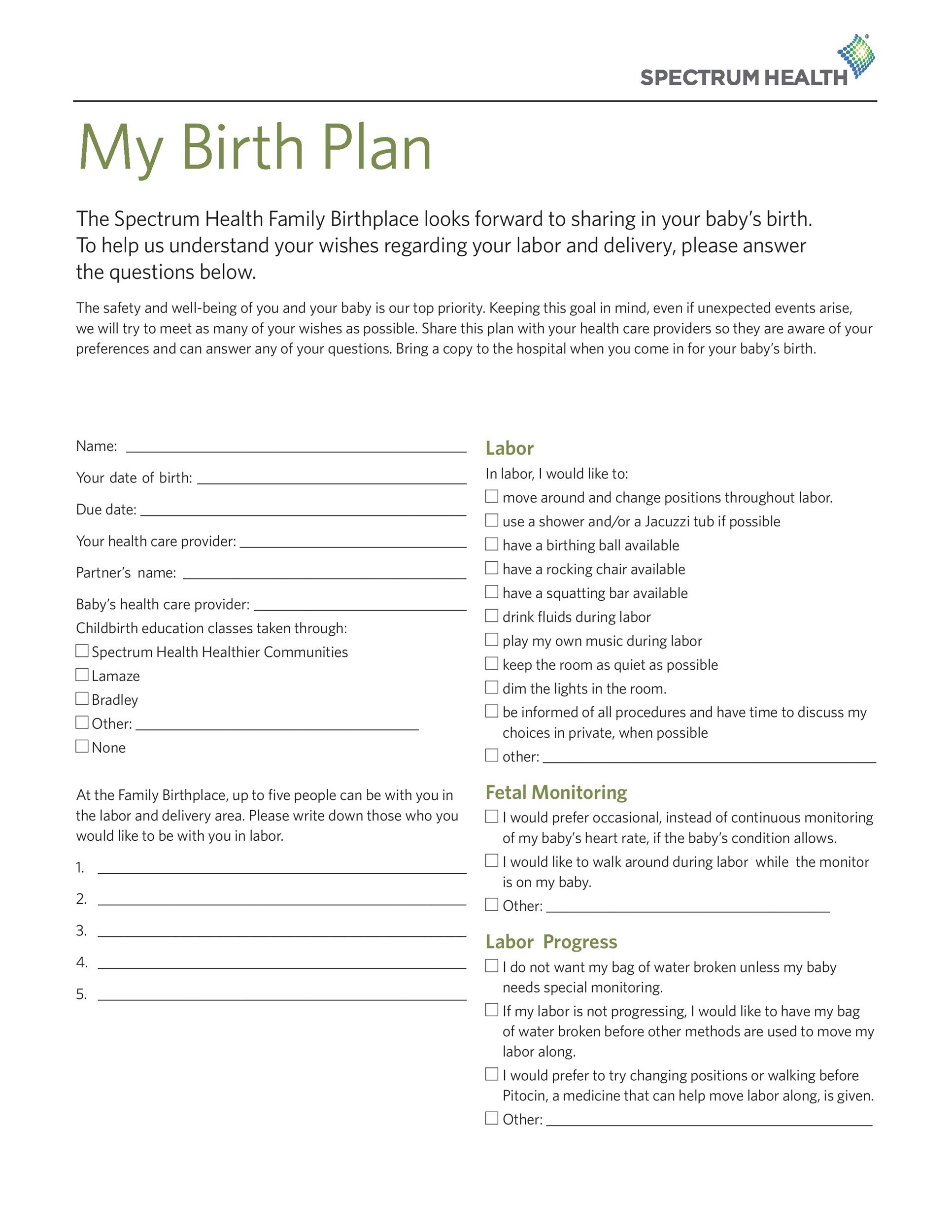 47 Printable Birth Plan Templates Birth Plan Checklist TemplateLab