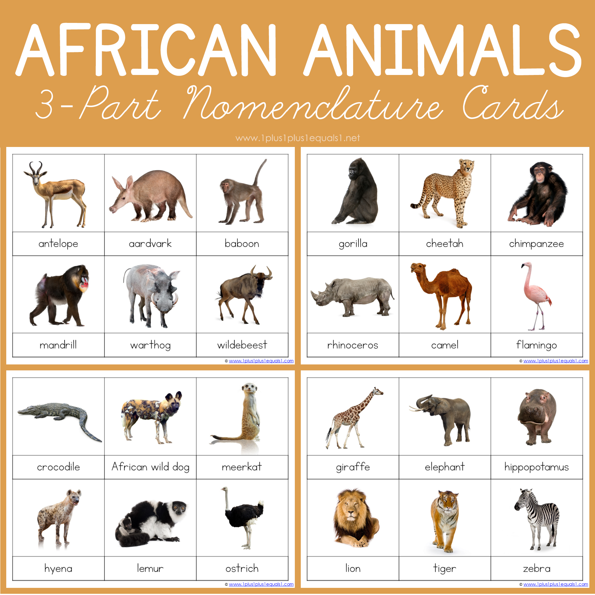 African Animals Montessori Printables FREE 3 Part Cards 1 1 1 1