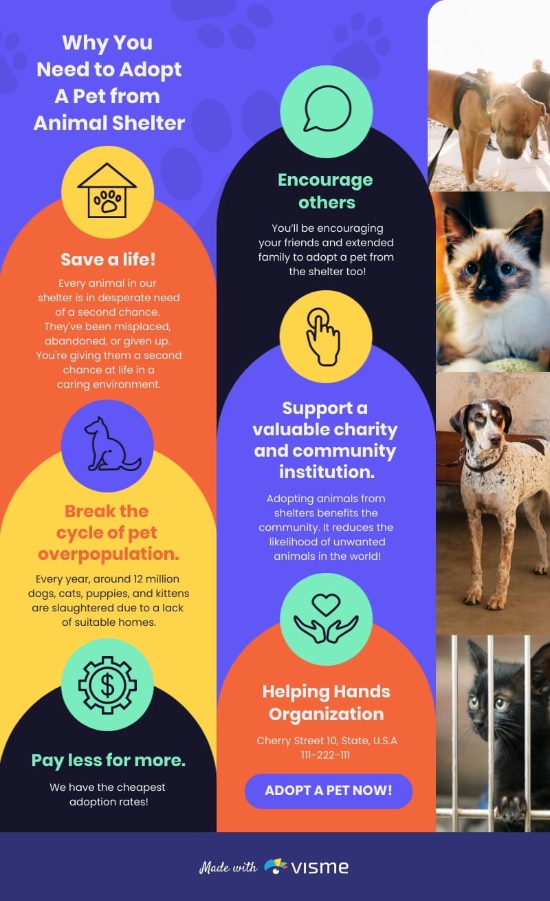 Animal Shelter Infographic Template Visme