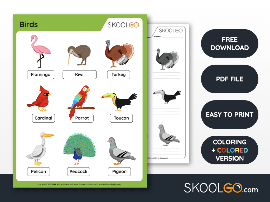 Birds Free Worksheet SKOOLGO