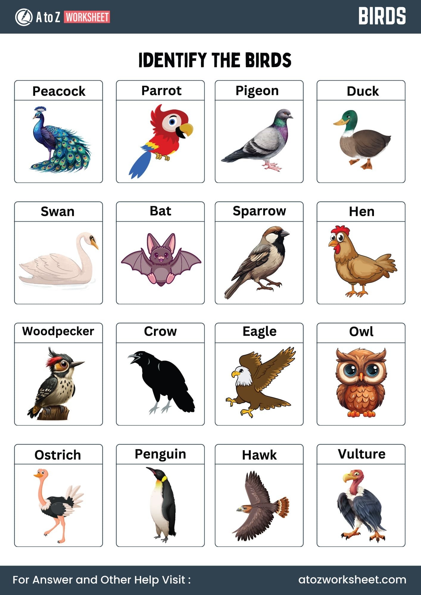 Free Printable Bird Educational