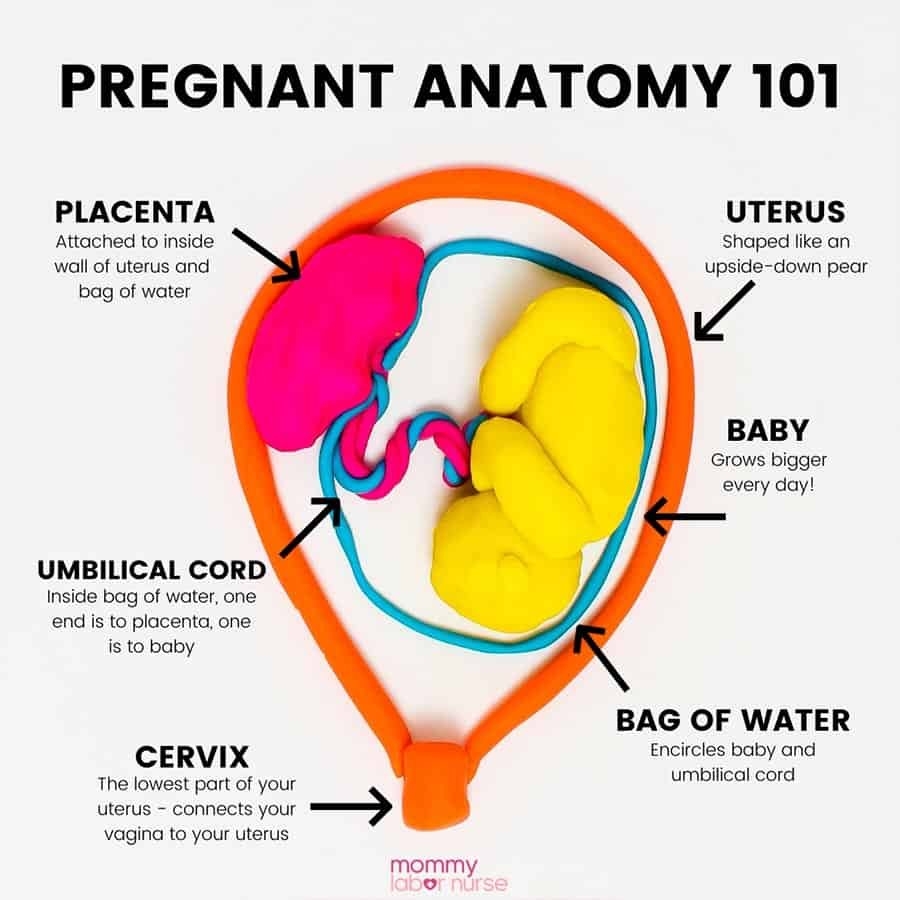 Printable Childbirth Education Class Feedback