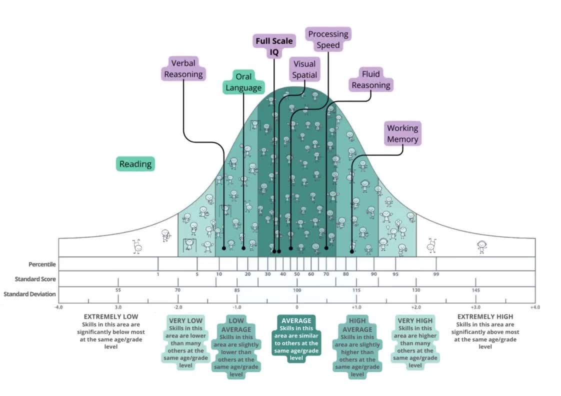 Cute Bell Curve Etsy