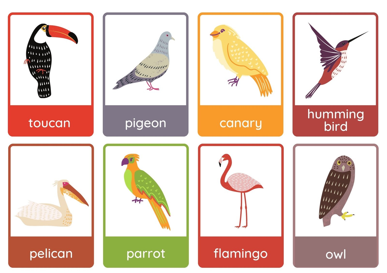 Printable Animal Flash Cards For Special Education Students
