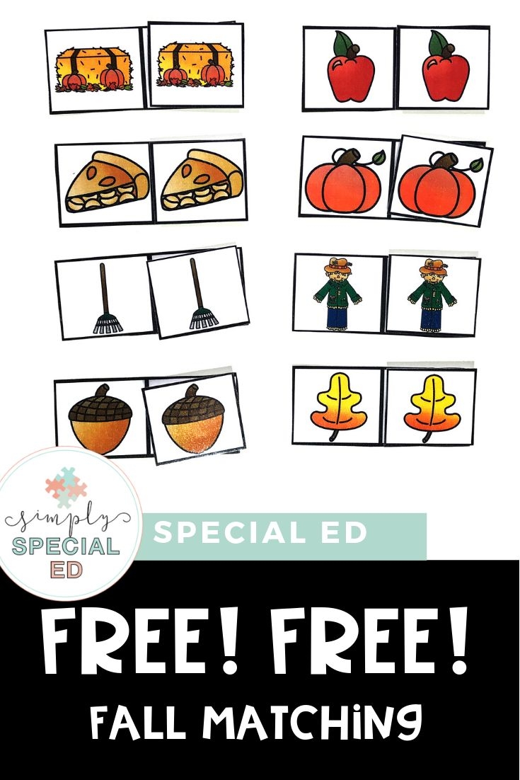 FREE Fall Matching Activity Simply Special Ed