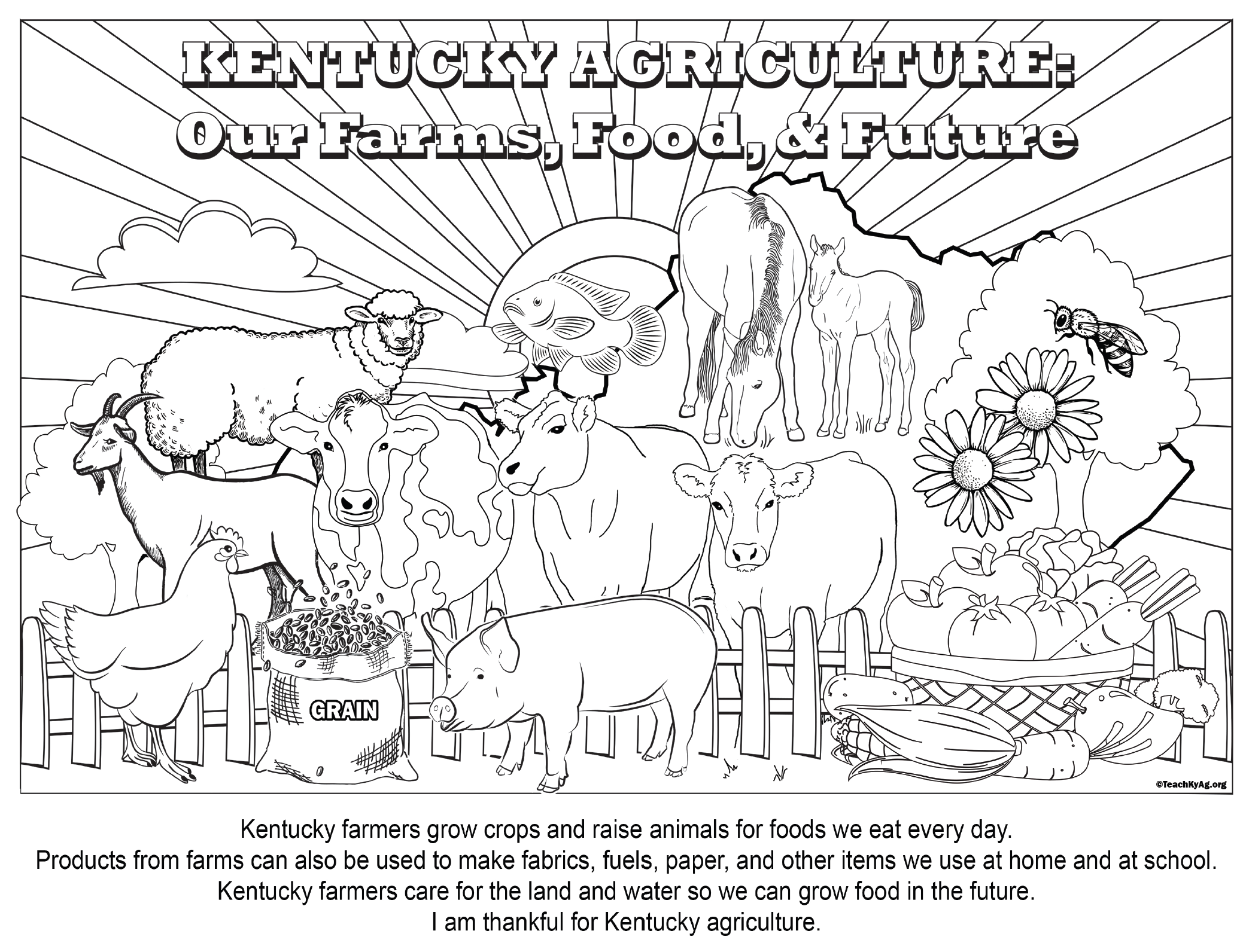 Get Ready For National Ag Day March 19 2024 TeachKyAg