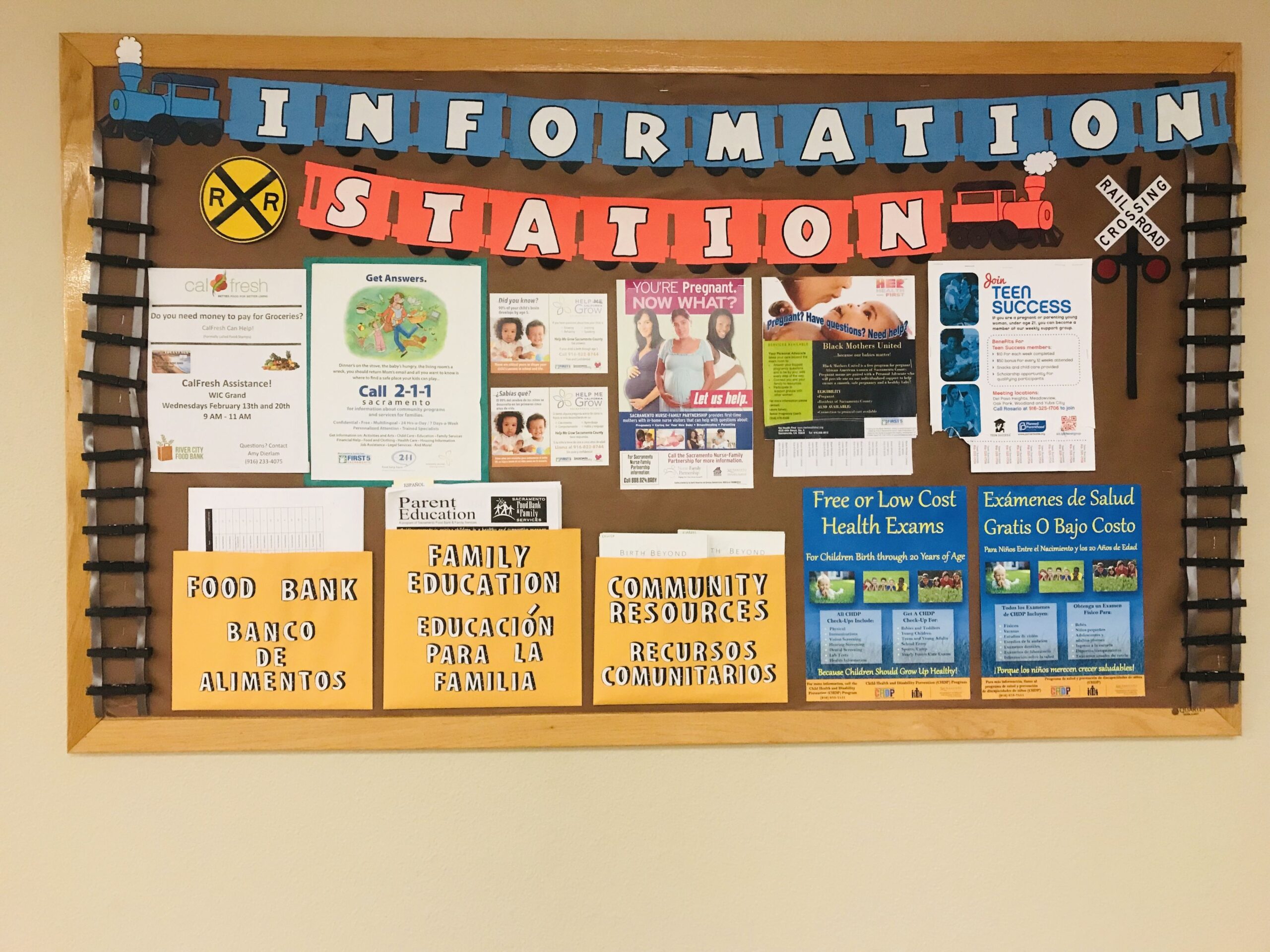 Informational Physical Education Bulletin Board Printables