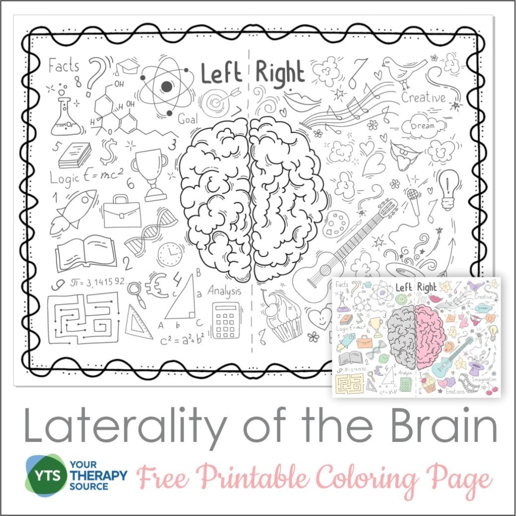 LATERALITY ACTIVITIES Your Therapy Source
