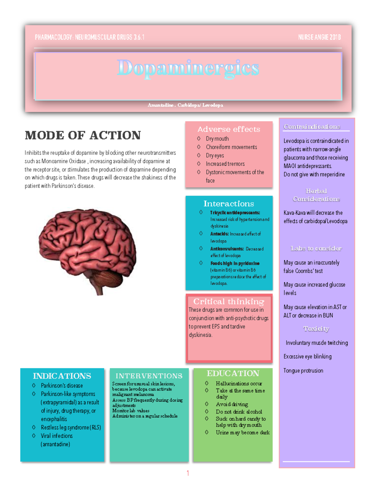 MAOI Stimulant MODE OF ACTION Inhibits The Enzyme Monoamine Oxidase Resulting In An Studocu