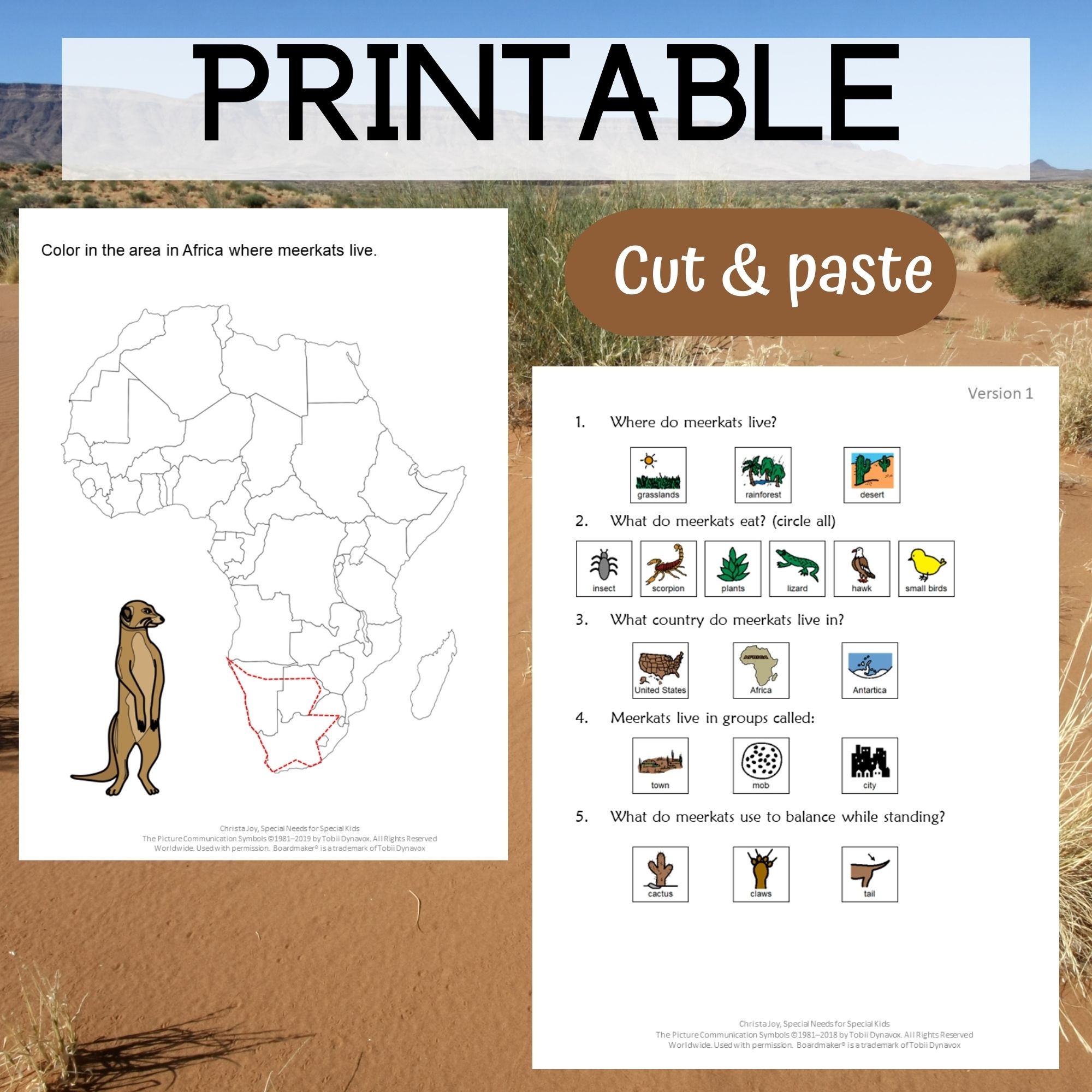 Meerkat Unit For Special Education Desert Biome In Africa Special Needs For Special Kids