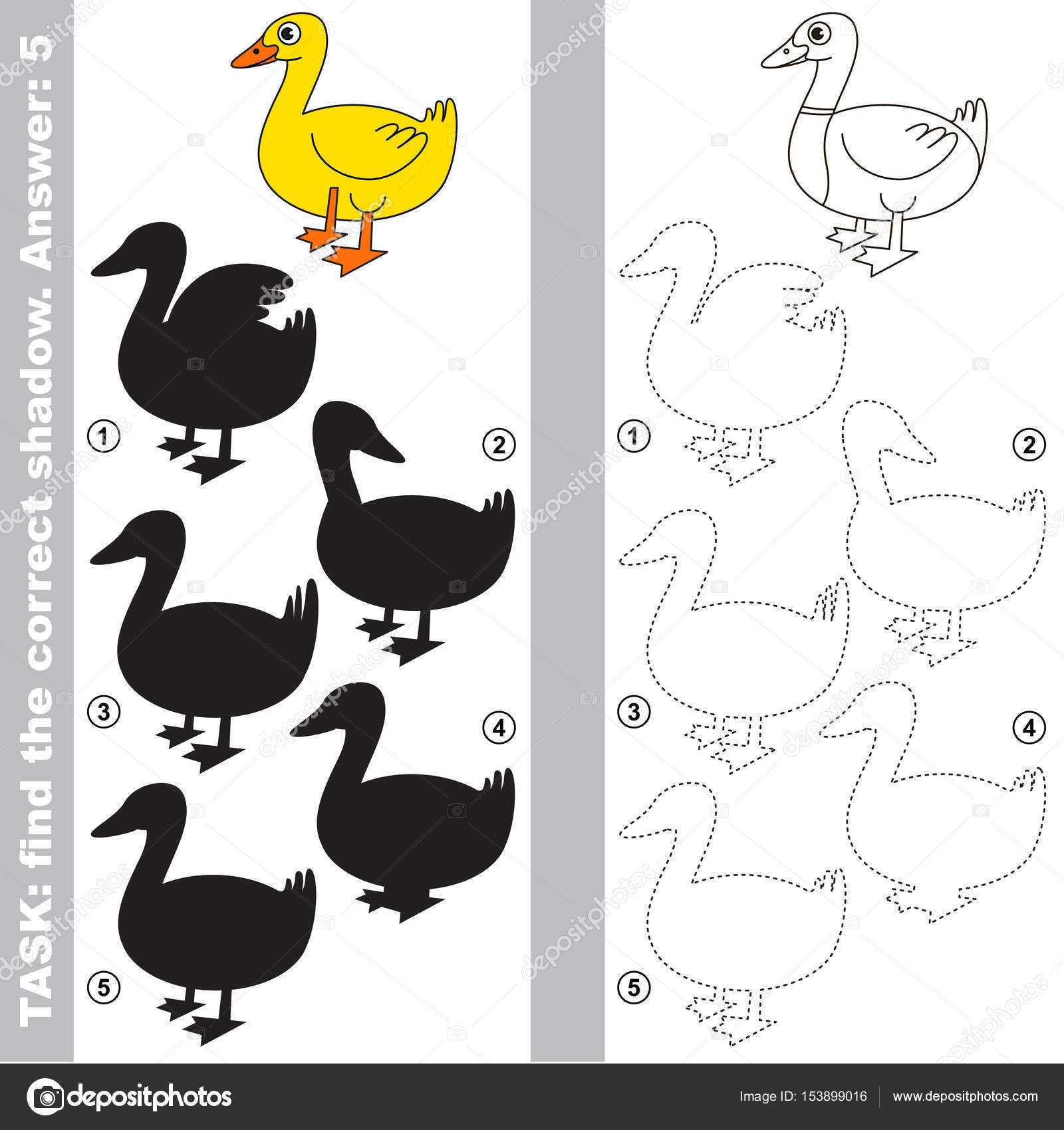 One Beautiful Yellow Duck Different Shadows Find Correct One Compare Stock Vector By Anna Mikhailova 153899016