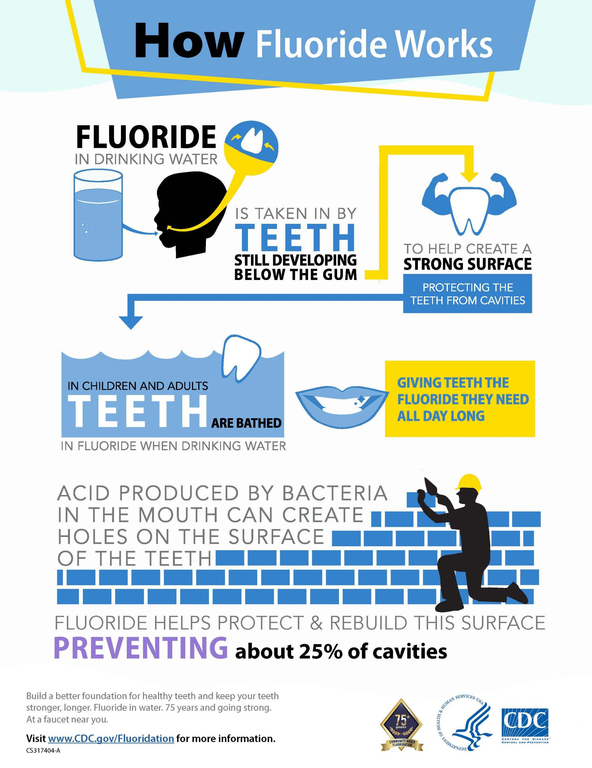 Oral Health Infographics Oral Health CDC
