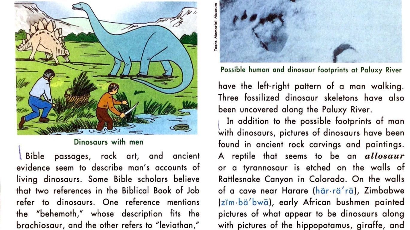 Private Schools Curriculum Downplays Slavery Says Humans And Dinosaurs Lived Together Orlando Sentinel