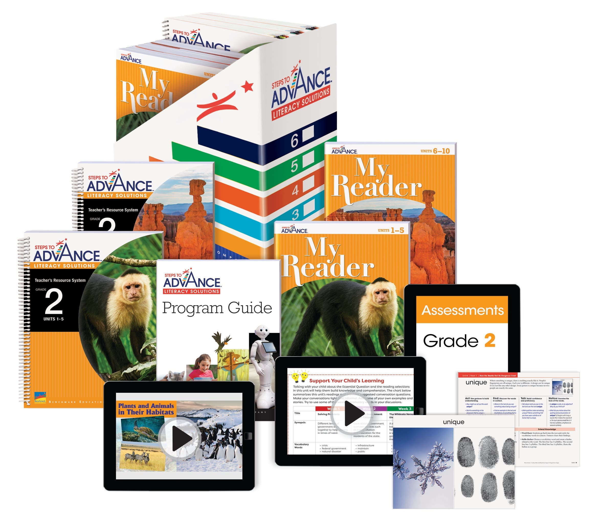 Steps To Advance Reading Intervention For Grades 2 6