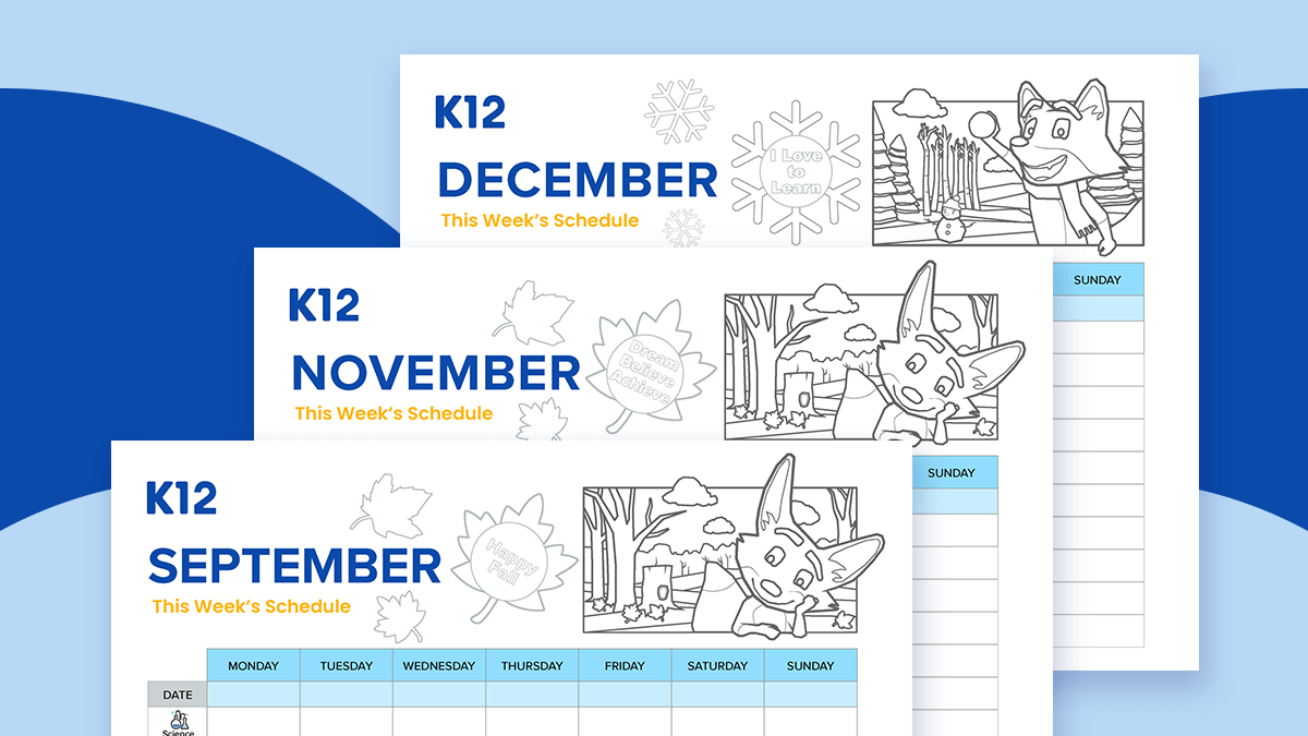 Welcome To The Strider Activity Hub K12